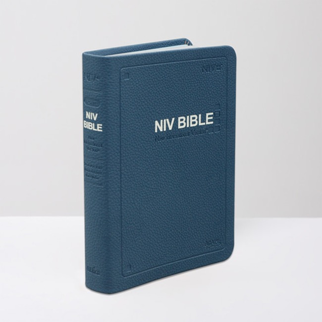 NIV 영어성경책 아가페 영문성경공부